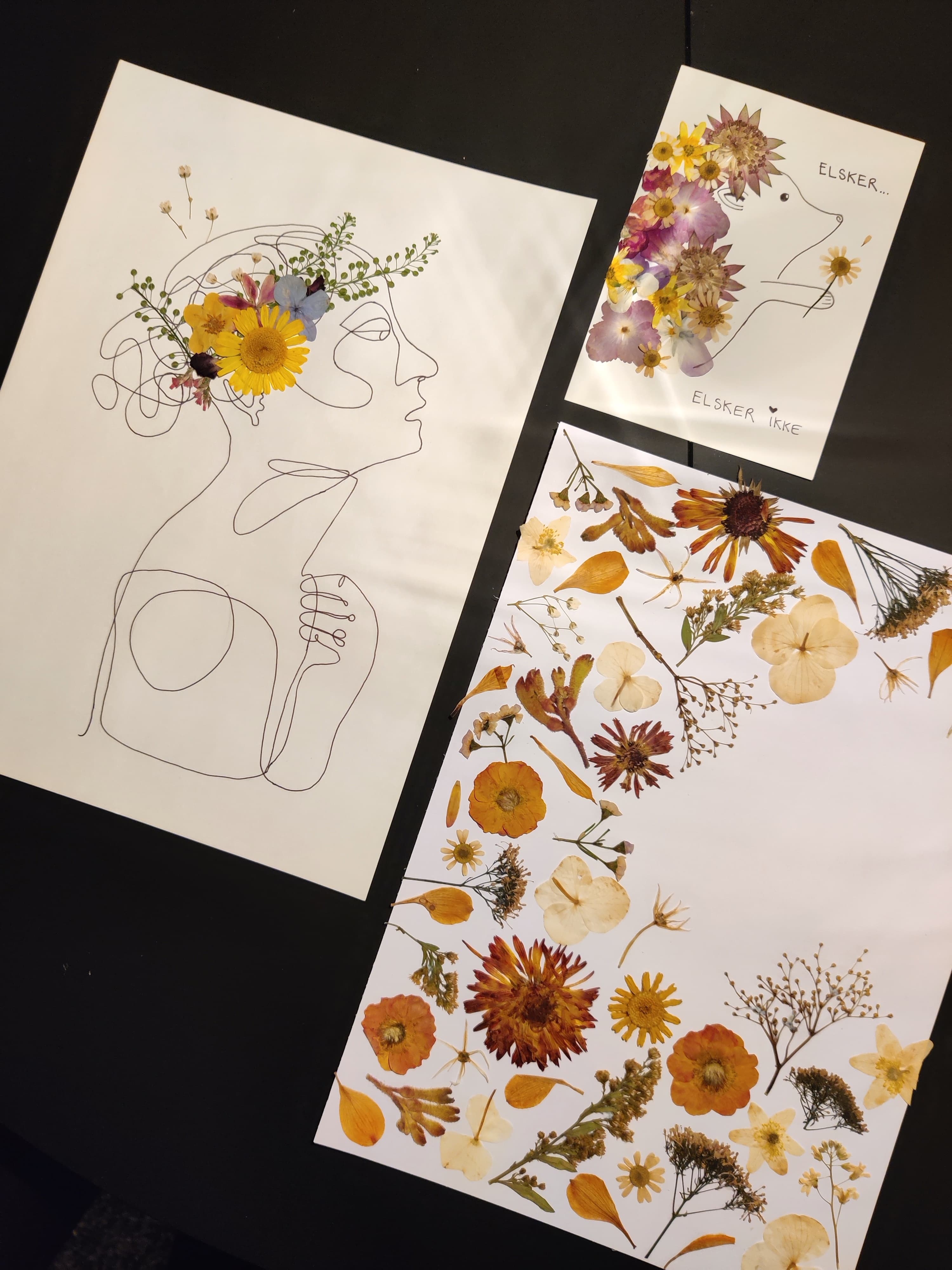 Gallery media #3